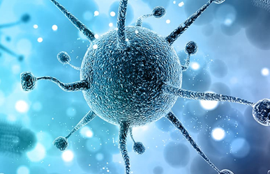 Industry insights on inhalation drug delivery systems